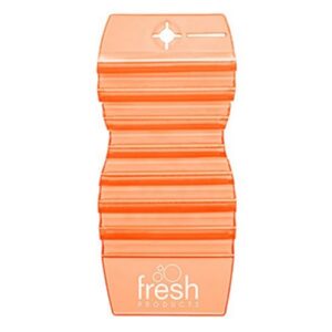 EVA HANG TAG MANGO (ORANGE) 12 Per Case